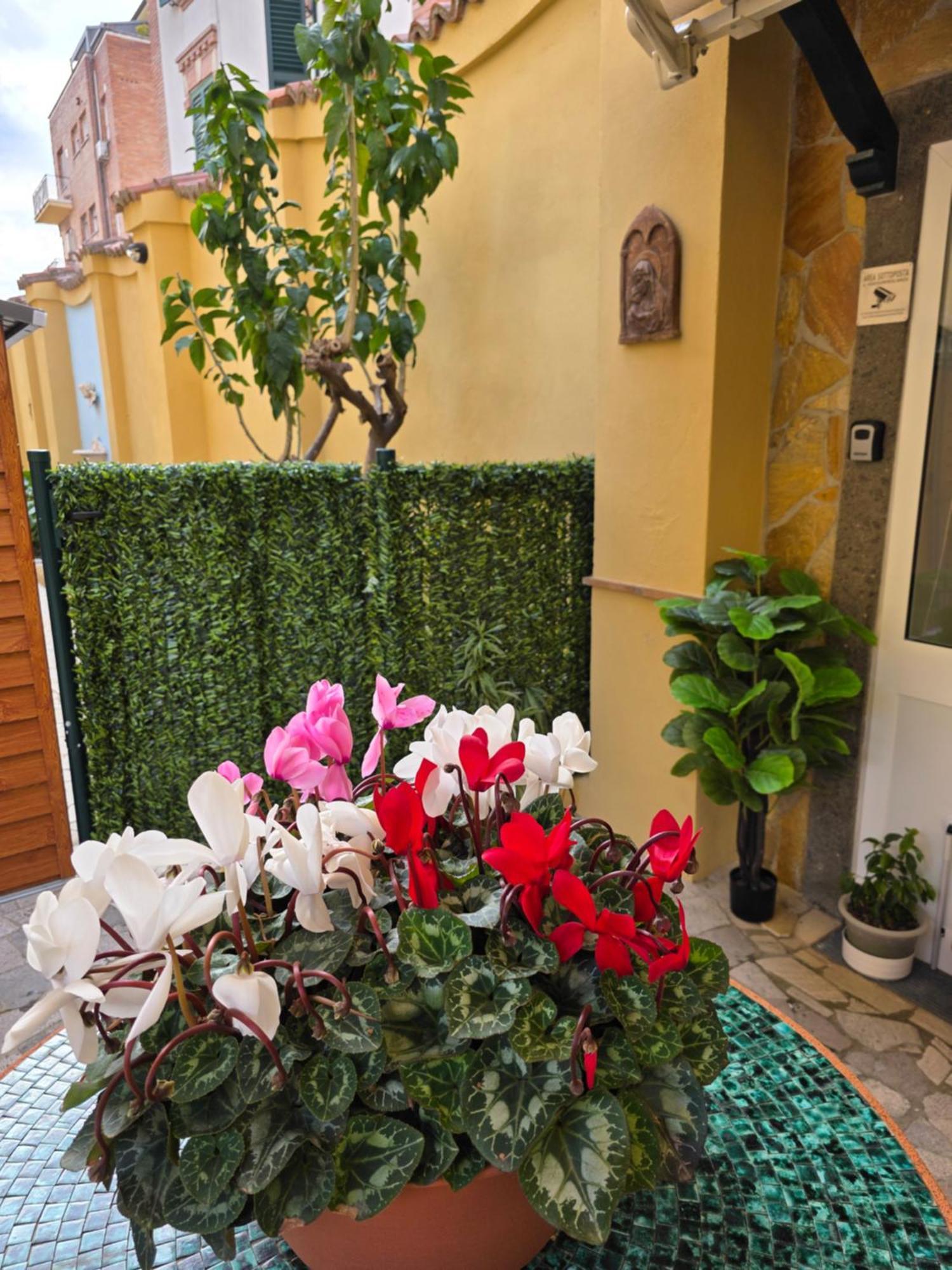 Guesthouse Aurora A.E. 罗马 外观 照片